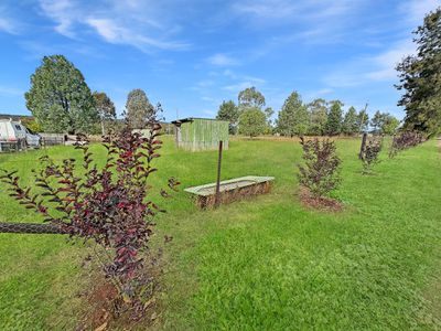 82 Bushs Lane, Gunnedah