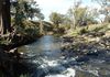 5220 The Escort Way Toogong, Orange