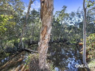 181 Sunnybrae Circuit, Redridge