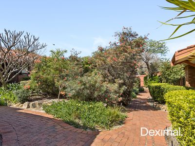 5 / 6 Field Street, Mount Lawley
