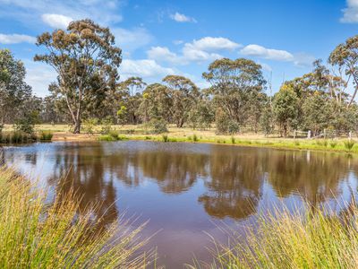 169 Back Kyneton Road, Heathcote