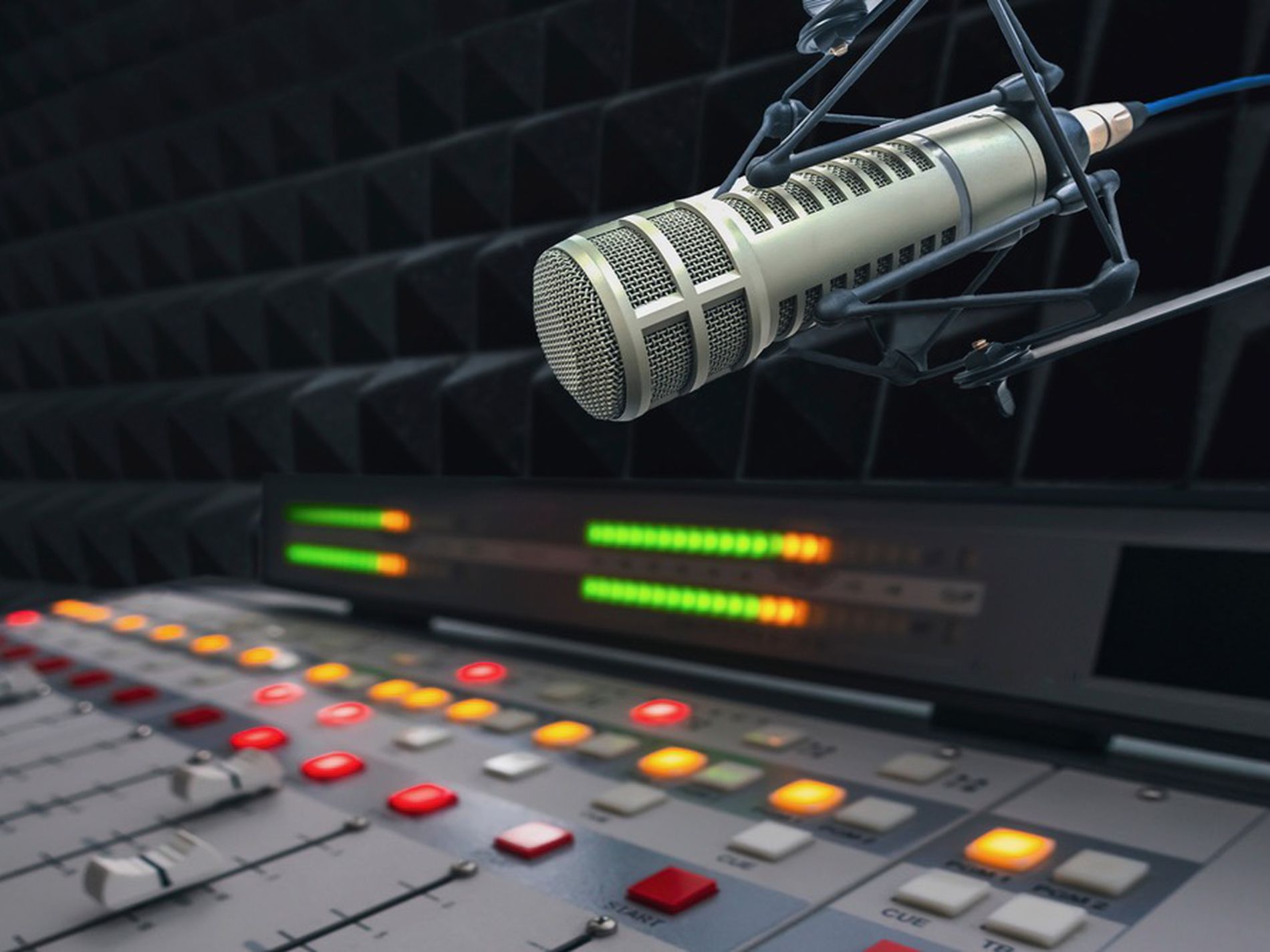 Rare opportunity to buy a Valuable Service Provider in the Audio Media Industry