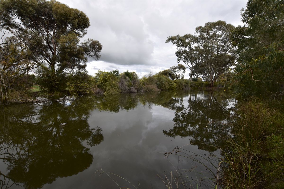 93 Howards Lane, Kyabram