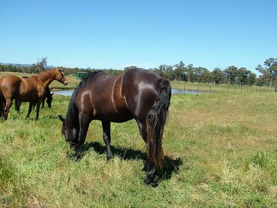 220 Tarcombe Road, Seymour