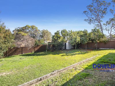 59 Kindlebark Drive, Medowie