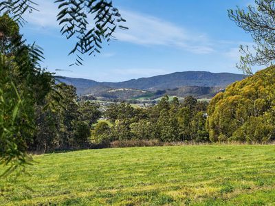 99 Silver Hill Road, Cygnet