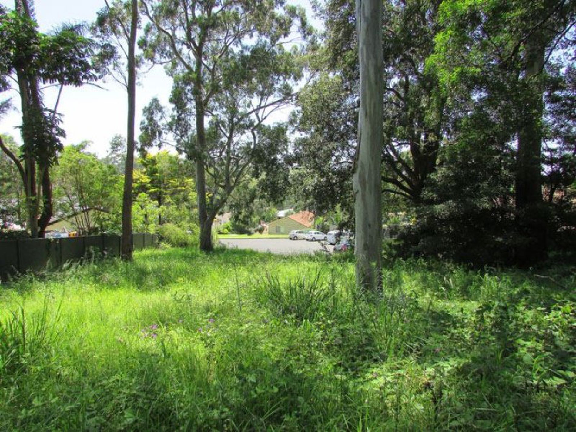 21 Treetops Crescent, Mollymook