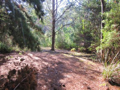 Lot 1 Huon Highway, Strathblane