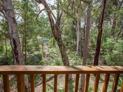 4 Flora Grove , Molloy Island