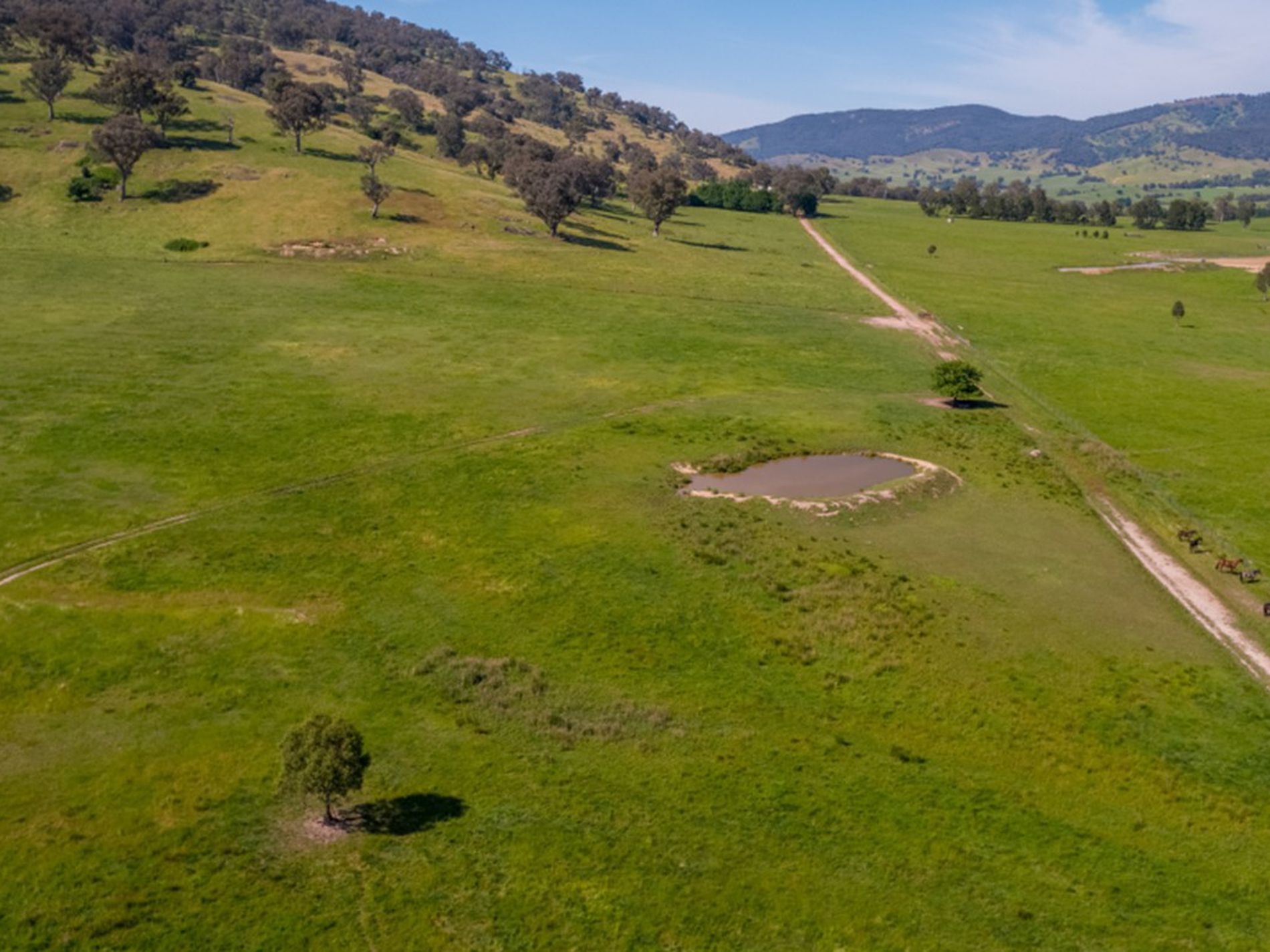 Lot 1, Sec 19, "The Block" Murray Valley Highway, Bullioh