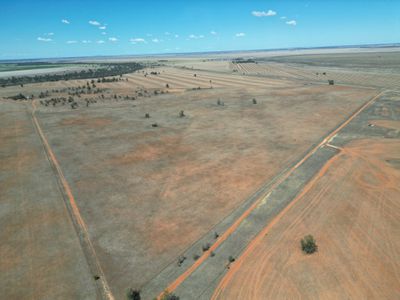 Lot  LOT 1 LP135805, 1  Cocketgedong Road, Urana