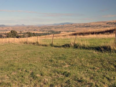 Lot 8, Wild Dog Road, Merrijig