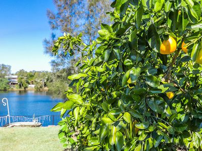 8 Barkala Court, Ocean Shores