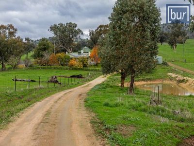 1242 Wymah Road, Bowna
