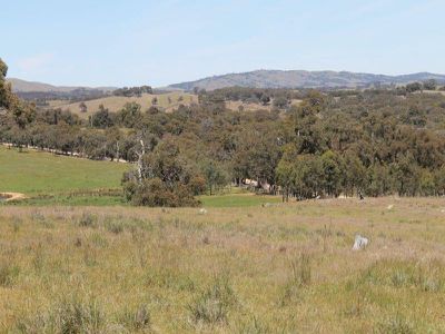 1045 Dairy Flat Road, Heathcote