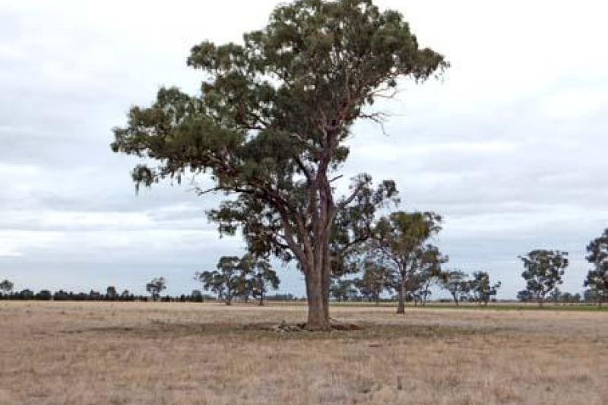Cnr Watson Road & Gray Road, Kyabram