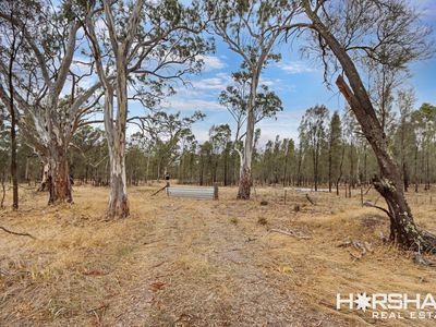 Lot 8, 8 Donald Swamp Road, Mockinya