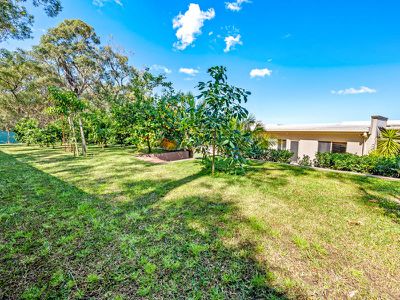 14 Karina Place, Bolton Point