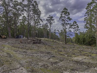 172 Goodwins Road, Upper Woodstock