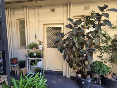 Unit 8 / 17 Queens Road, Melbourne