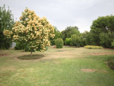 37 Chardonnay Drive, Milawa