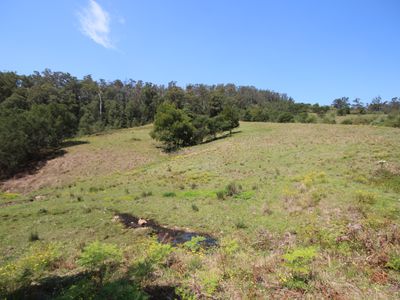 1085 Pappinbarra Road, Lower Pappinbarra