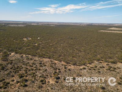 113 / Mallee Road, Walker Flat