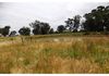 106 Lemmons Road, Borenore