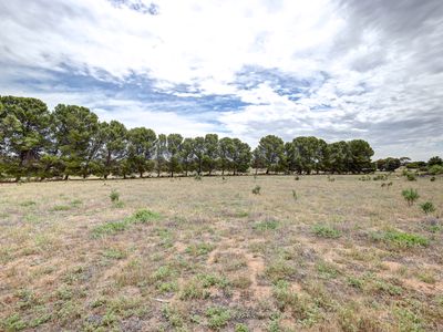 8-10 Coolibah Drive, Murray Bridge East