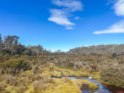 331L Arthurs Lake Road, Arthurs Lake