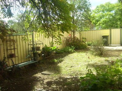 Morisset