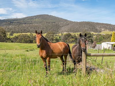 1000 Glen Huon Road, Glen Huon