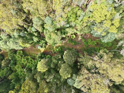 111 Underwoods Road, Nicholls Rivulet