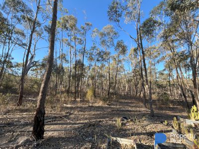 Lot 13, Moliagul Drive, Moliagul