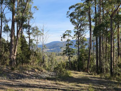 77 Grovenor Rise, Grove