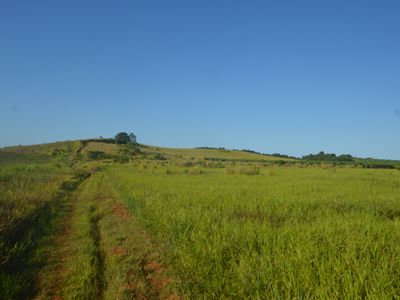 1212 Innisfail Japoon Road, Camp Creek