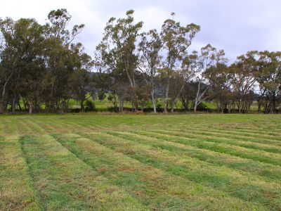 Lot 2, 109 Lot 2, 109 Main Road, Tallarook