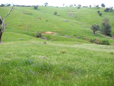 Flagstaff Road, Bethanga