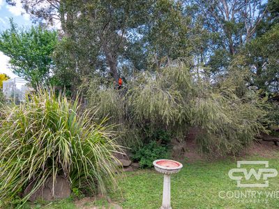 4 Oliver Street, Glen Innes