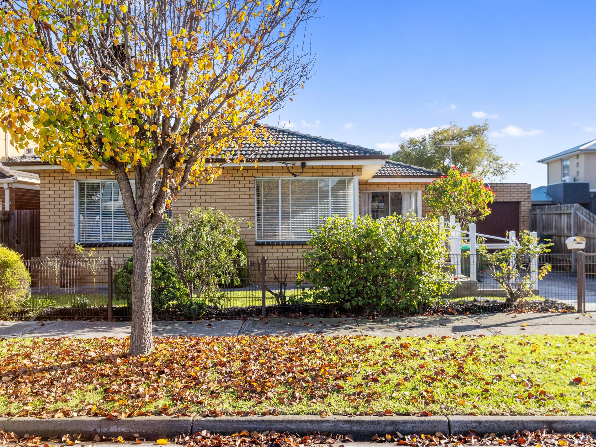 3 Clyde Street, Newport