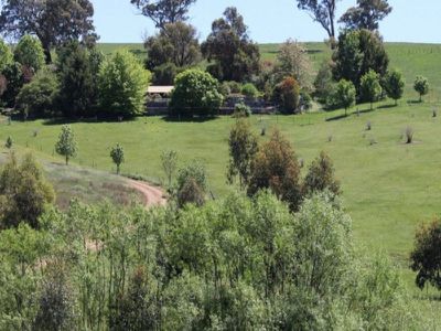 317 Buttercup Road, Merrijig