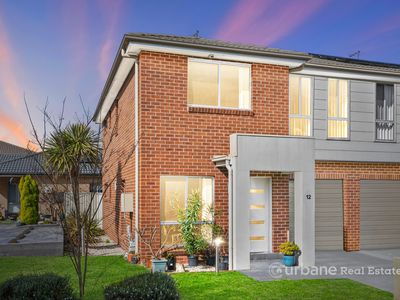 12 Raspberry Crescent, Schofields