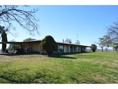 73 Shanley Lane, Gunnedah