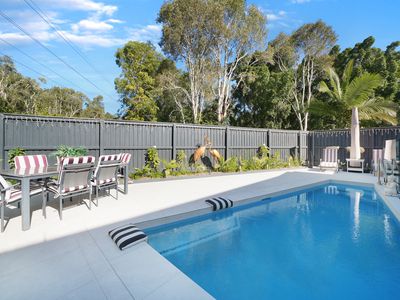 2 / 11 Bluefin Court, Noosaville