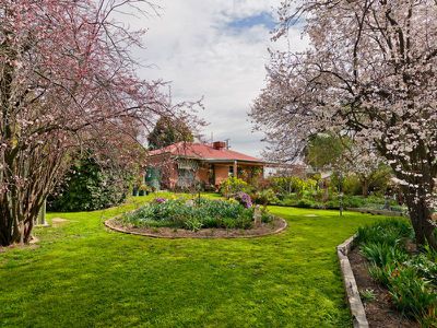 28 Eureka Street, Chewton