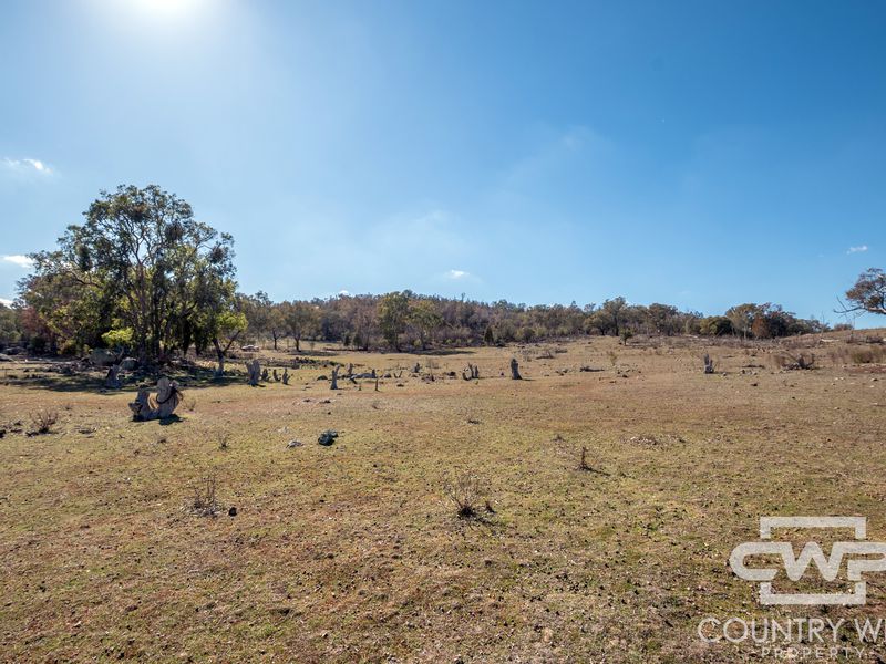 Lot 8 & 9, - Gulf Road, Emmaville