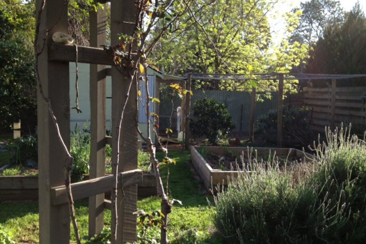 44 Anderson Street, Avenel