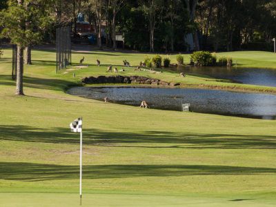 22 / 433 Brisbane Road, Coombabah