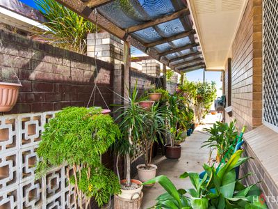 19 Richards Street, Svensson Heights