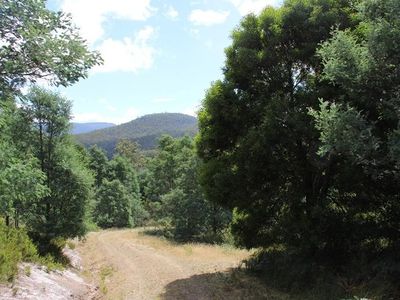 547 She Oak Road, Judbury